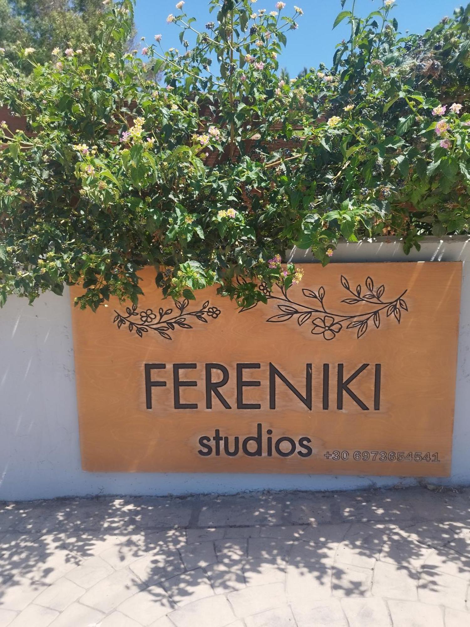 Fereniki Studios プラティ エクステリア 写真